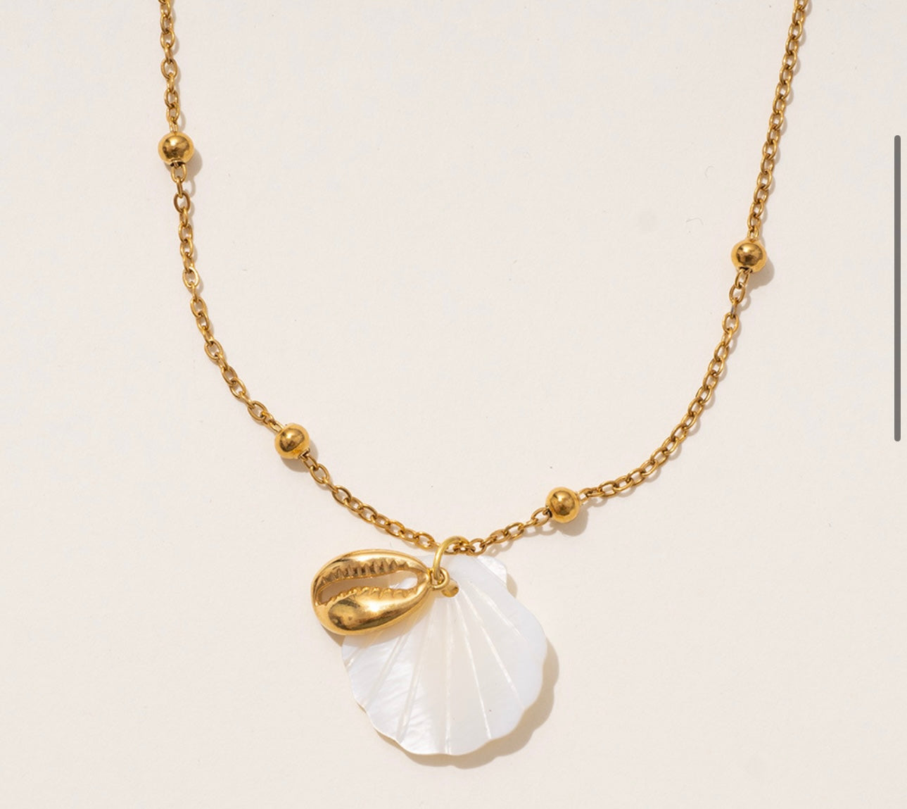 Shell necklace