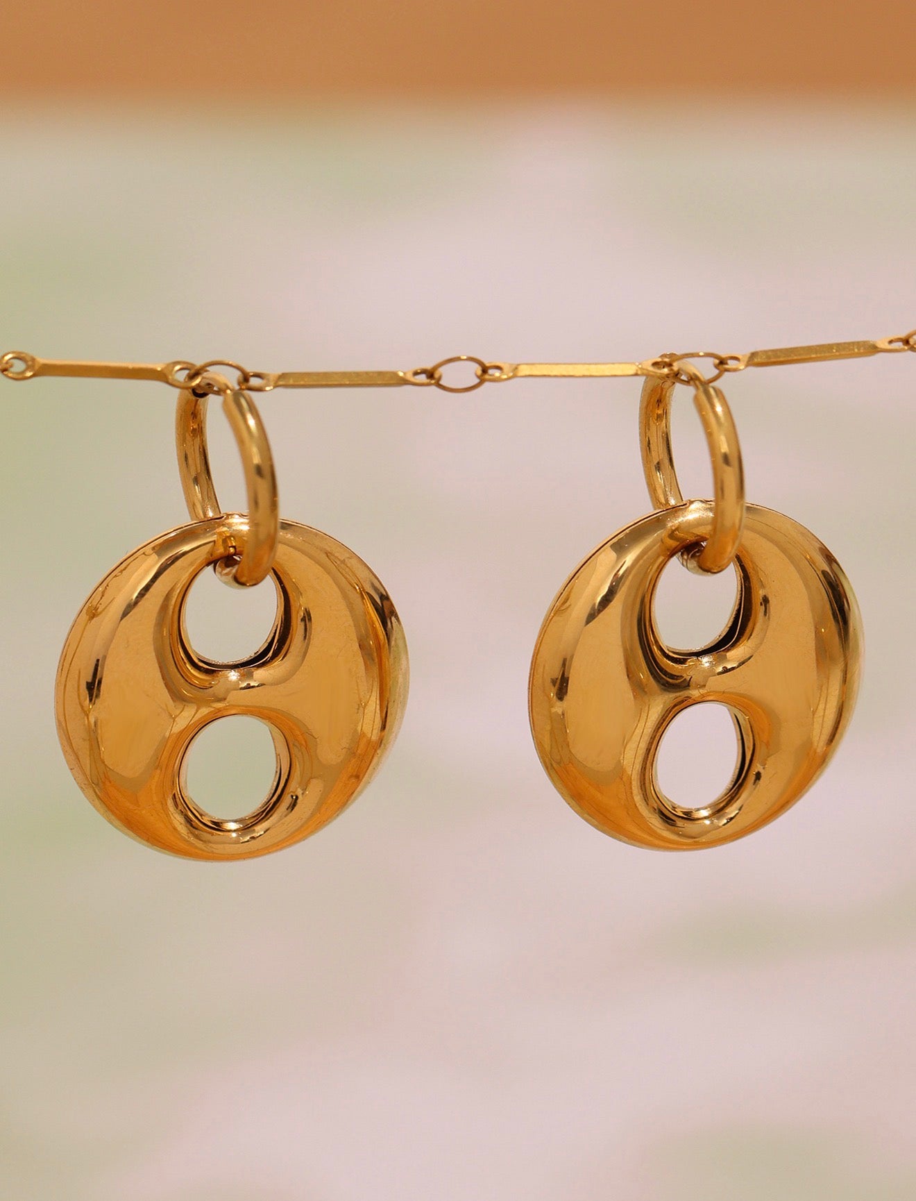 Pig nose earrings