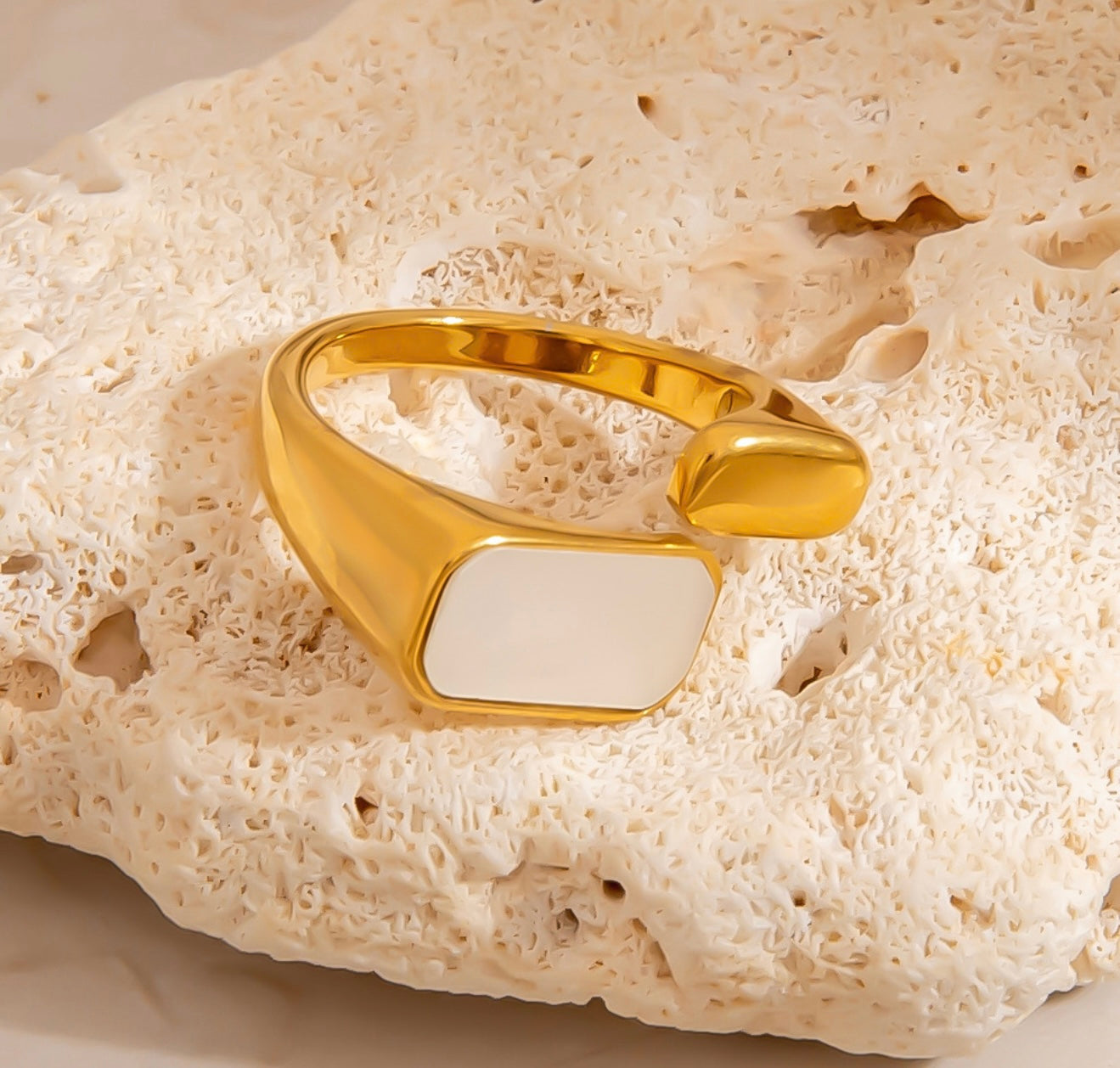 Geometric round ring